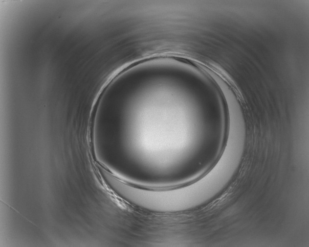 X0000057580956200509191447