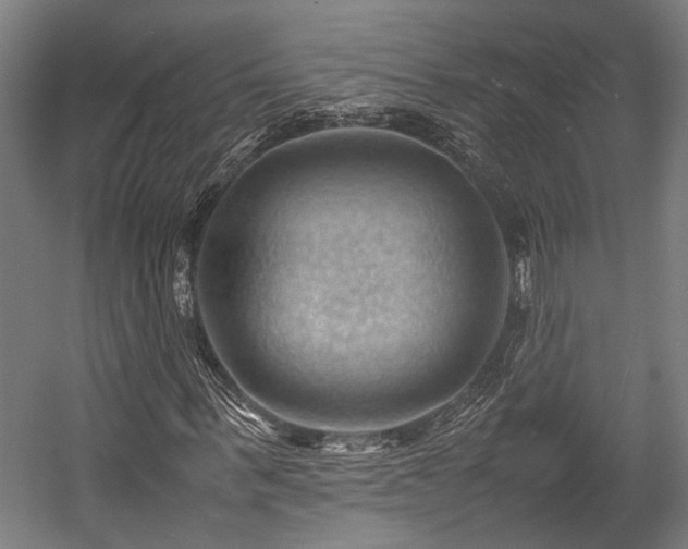 X0000057580963200509191446