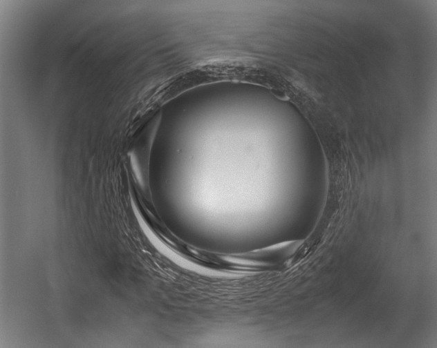 X0000057580965200509191446