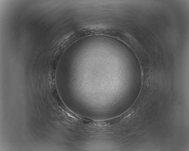 X0000057580966200509191446