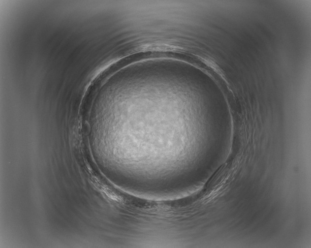 X0000057580971200509191446