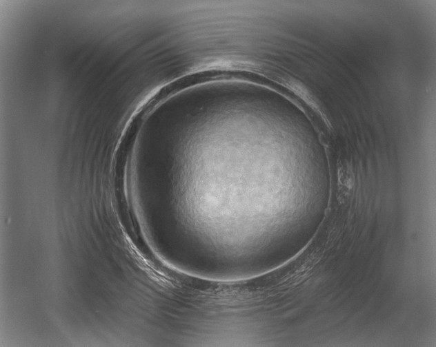 X0000057580972200509191446