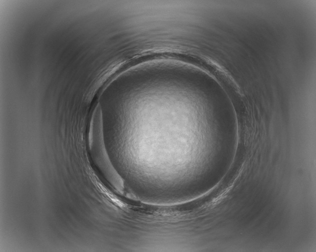 X0000057580977200509191446