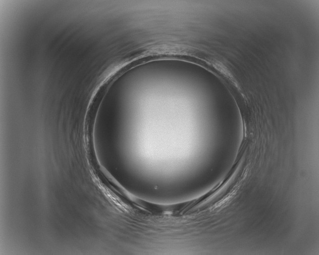 X0000057580981200509191446