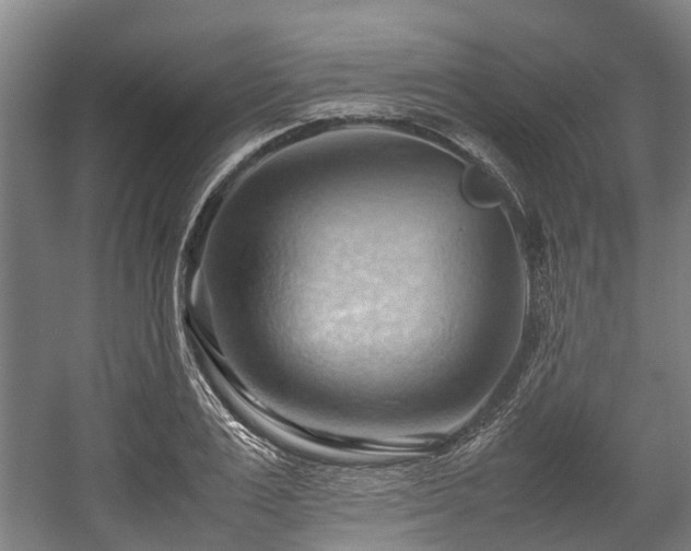 X0000057580983200509191446