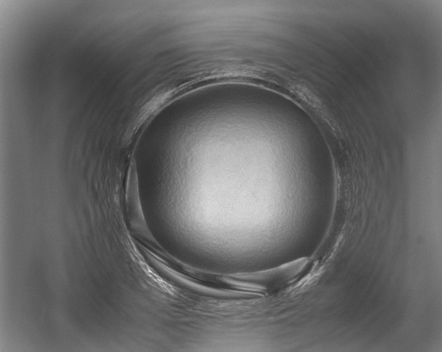 X0000057580985200509191446