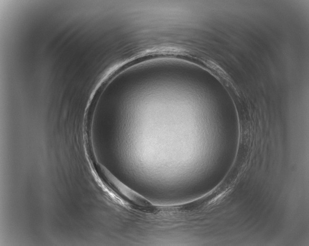 X0000057580989200509191446