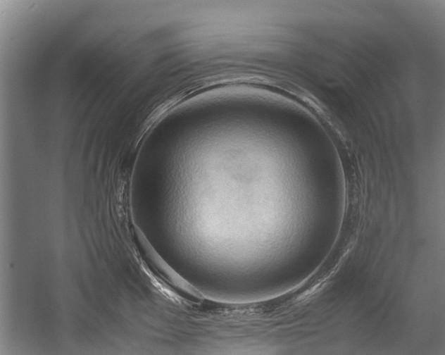 X0000057581001200509191446