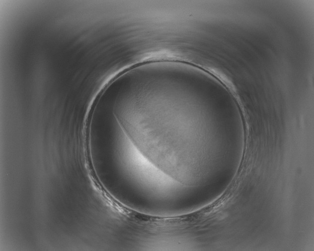 X0000057581008200509191446