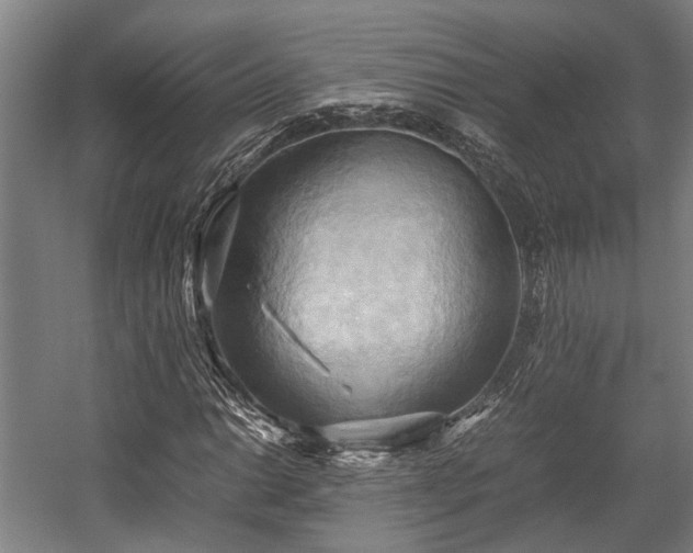 X0000057581014200509191445