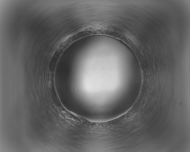 X0000057581016200509191445