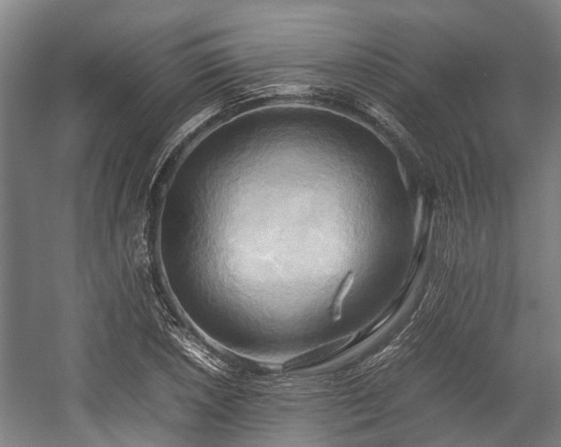 X0000057581026200509191445