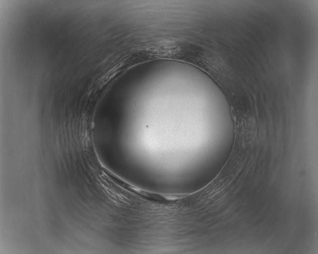X0000057581058200509191445