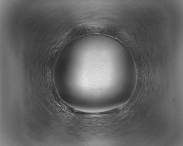 X0000057581061200509191445