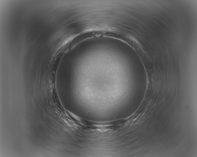 X0000057581064200509191445