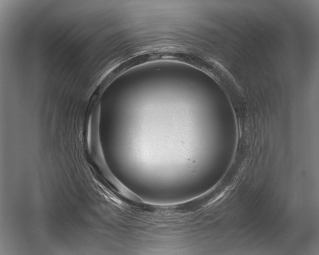 X0000057581065200509191445