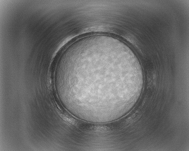 X0000057581070200509191445