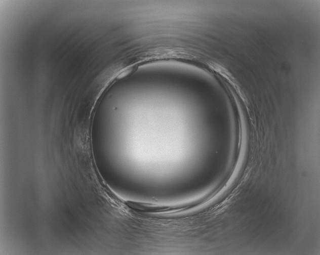 X0000057581089200509191444