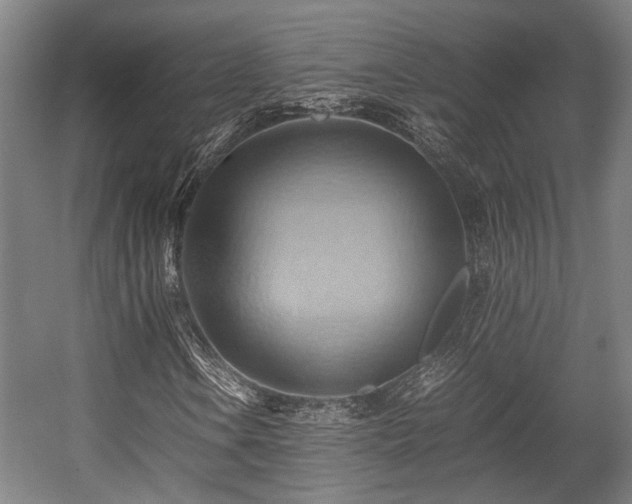 X0000057581106200509191443
