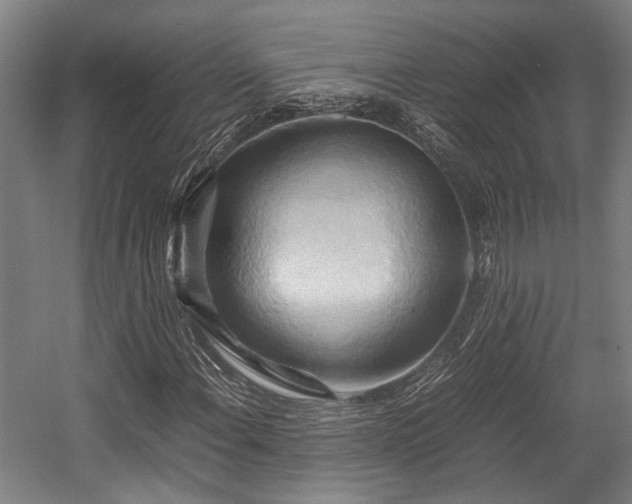 X0000057581108200509191443