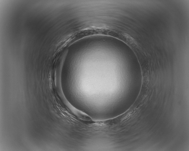 X0000057581110200509191443