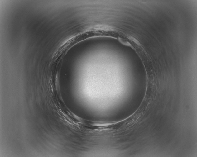 X0000057581112200509191443