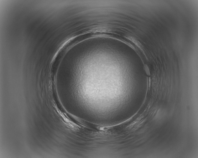X0000057581115200509191443
