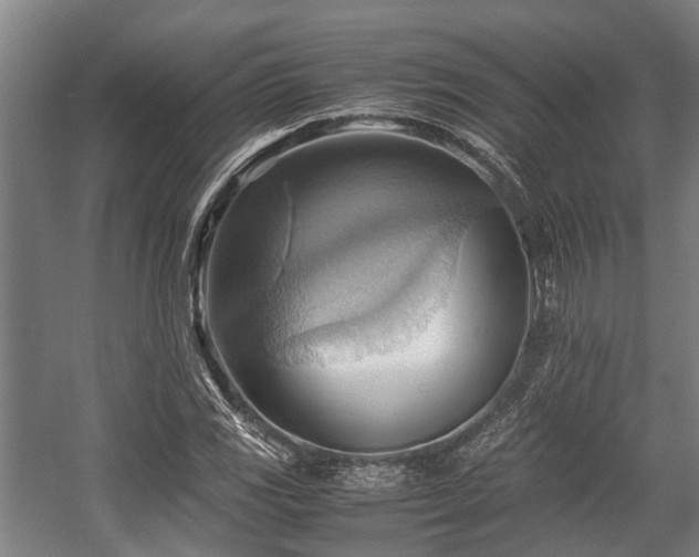 X0000057581117200509191443