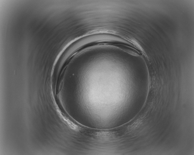 X0000057581132200509191444