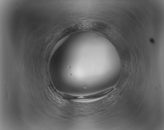 X0000057581153200509191443
