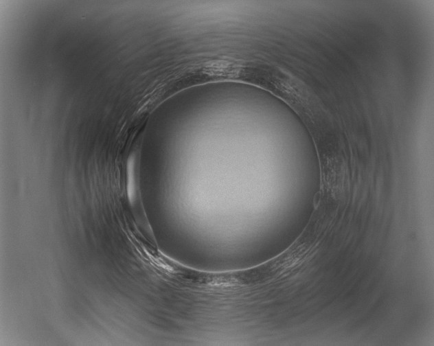 X0000057581154200509191443