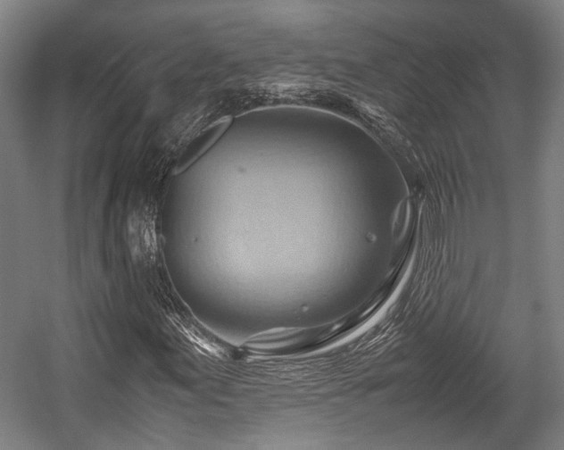 X0000057581155200509191443