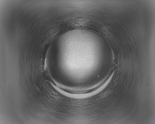 X0000057581156200509191443