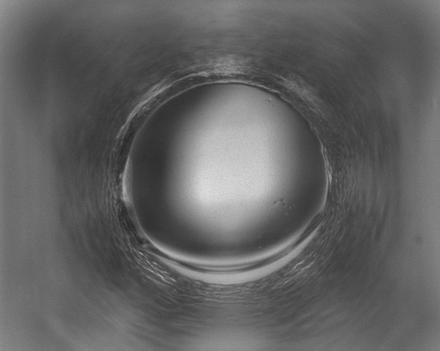 X0000057581160200509191443