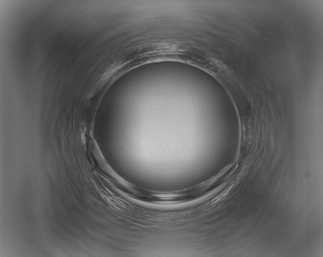 X0000057581161200509191443