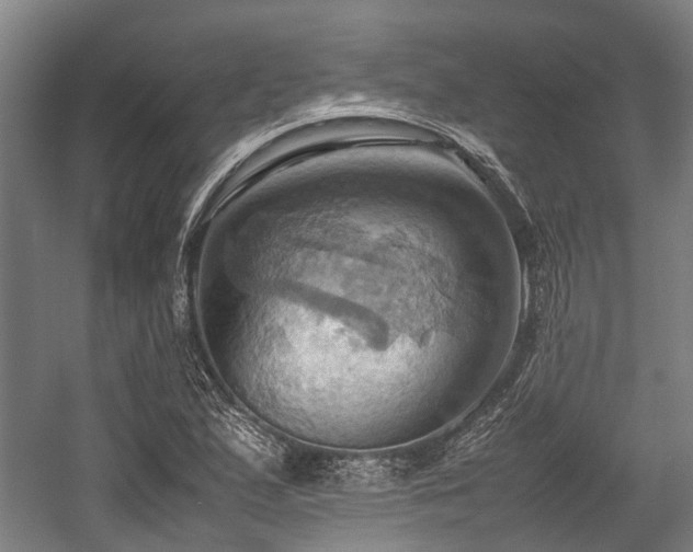 X0000057581167200509191443