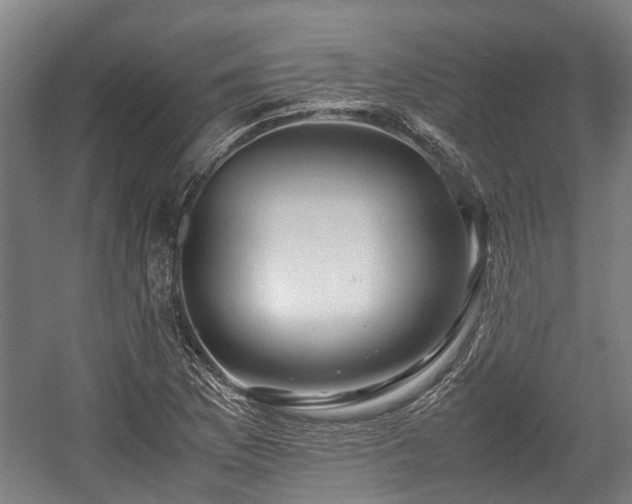 X0000057581169200509191443