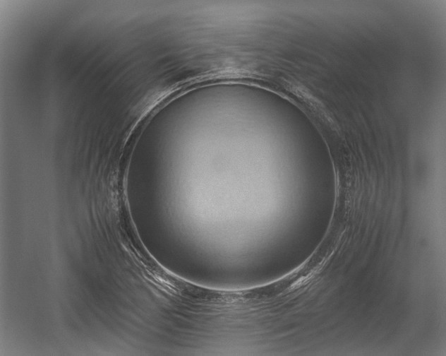 X0000057581170200509191443
