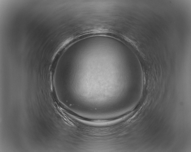 X0000057581171200509191443