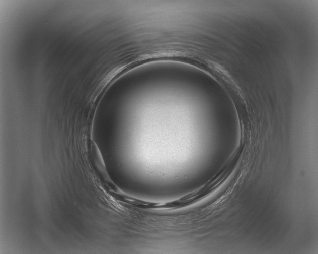 X0000057581177200509191443