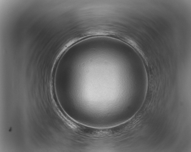 X0000057581187200509191443