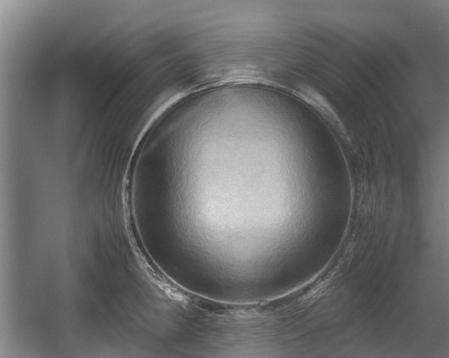 X0000057581190200509191443
