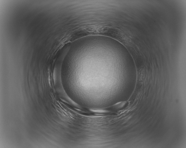 X0000057581202200509191442