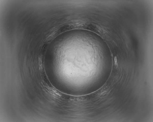 X0000057581203200509191442