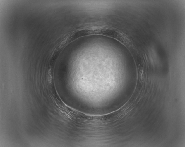 X0000057581204200509191442