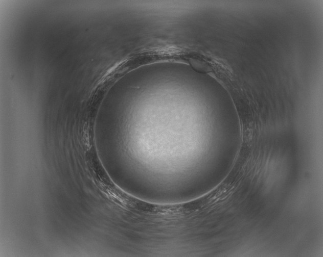 X0000057581205200509191442