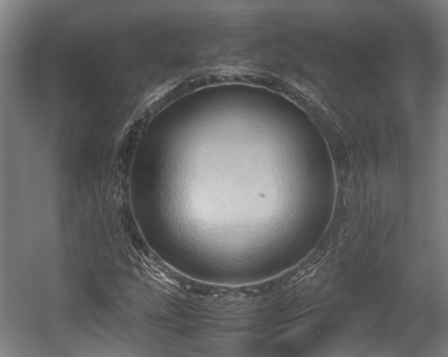 X0000057581207200509191442