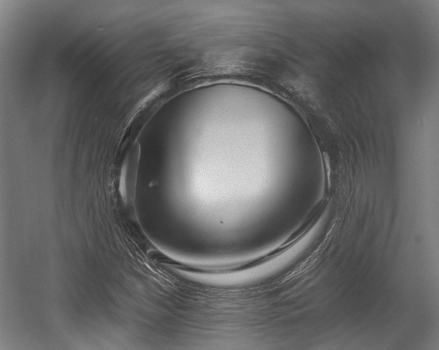 X0000057581210200509191442