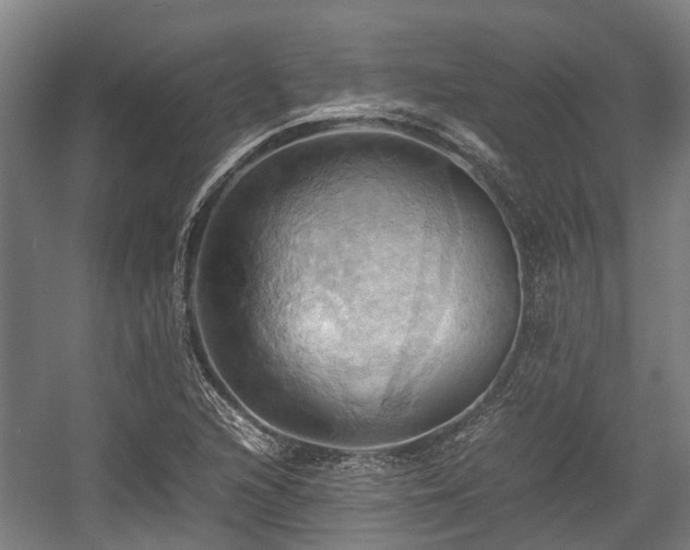 X0000057581216200509191442