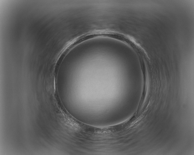 X0000057581221200509191442